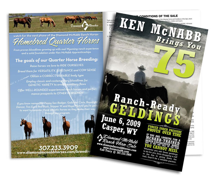 Diamond Ranches Horse Sale Catalog