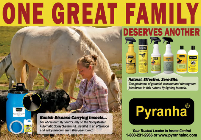 Pyranha Advertising Redesign