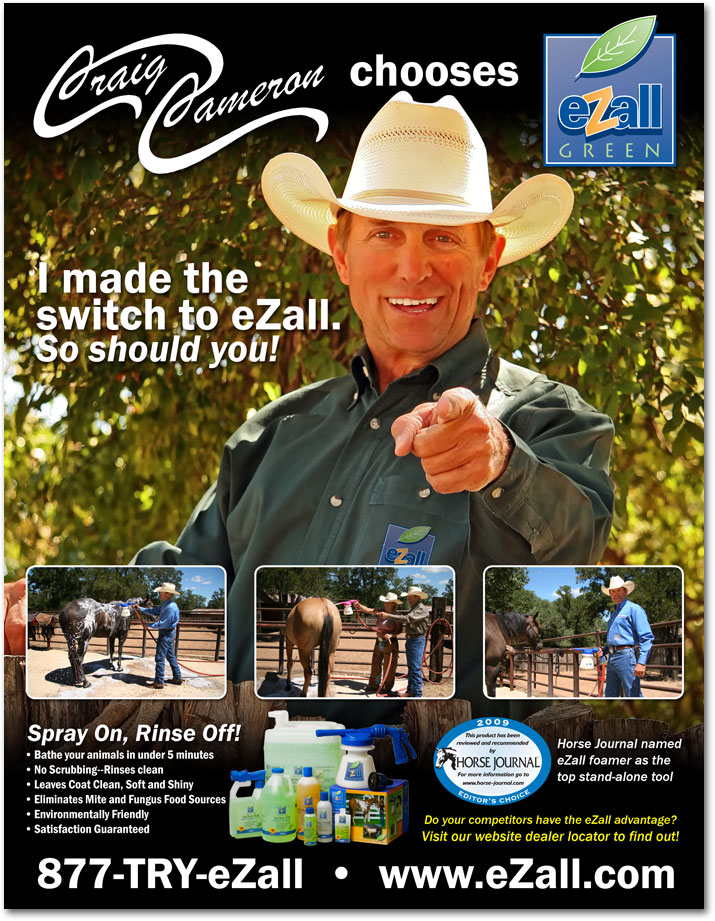 eZall Sales Slick