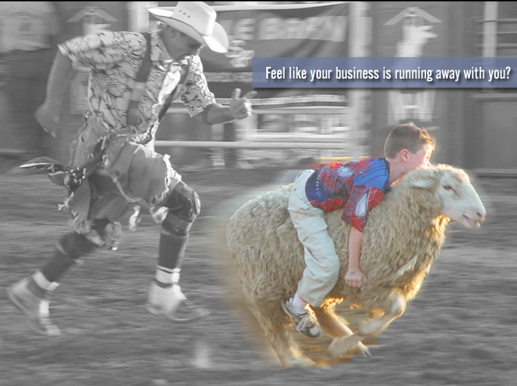 Marketing for Equine Companies