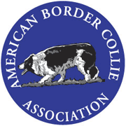 American Border Collie Association
