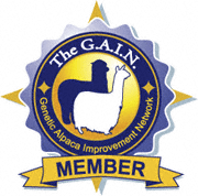 Genetic Alpaca Improvement Network Member