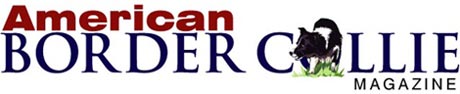American Border Collie Magazine