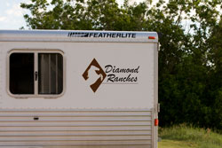 Diamond Logo on Trailer
