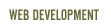 Web & Ecommerce Development