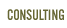 Marketing Consultant