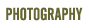 Horse & Livestock Photography