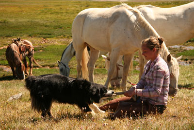 casual ranch life