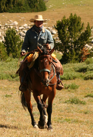 ranch riding