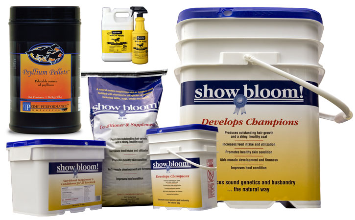 Showbloom, Pyranha, and PPN Photography