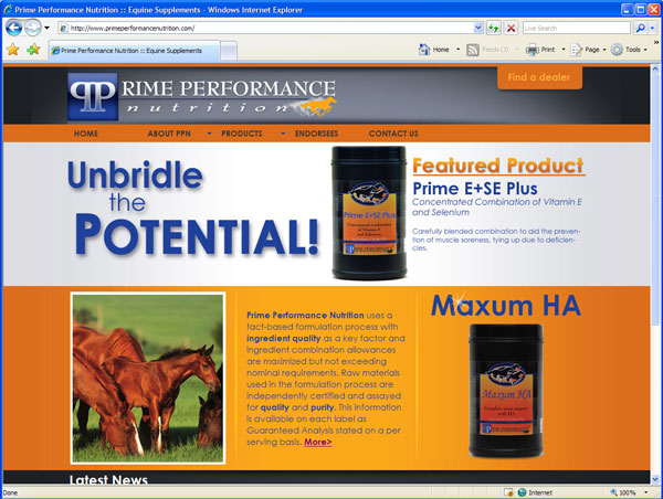 PPN Website Design
