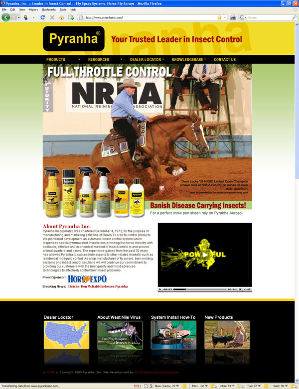 Pyranha Web Design