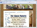 The Alpaca Network